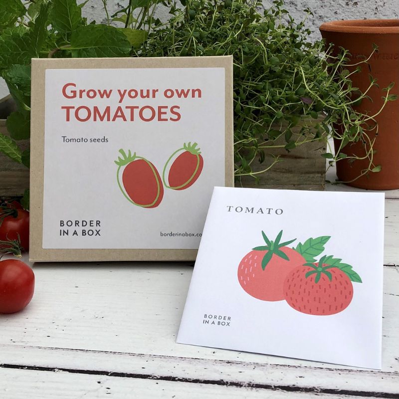 tomato seed packet and gift box