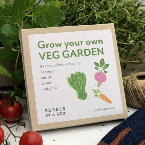 grow your own veg garden gift box