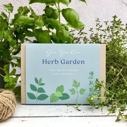 herb garden gift box front cover surrounded by herb plants