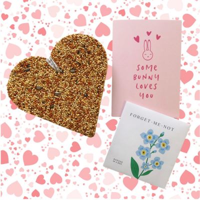 some bunny loves you card, forget me not seeds and heart shaped bird seed cake