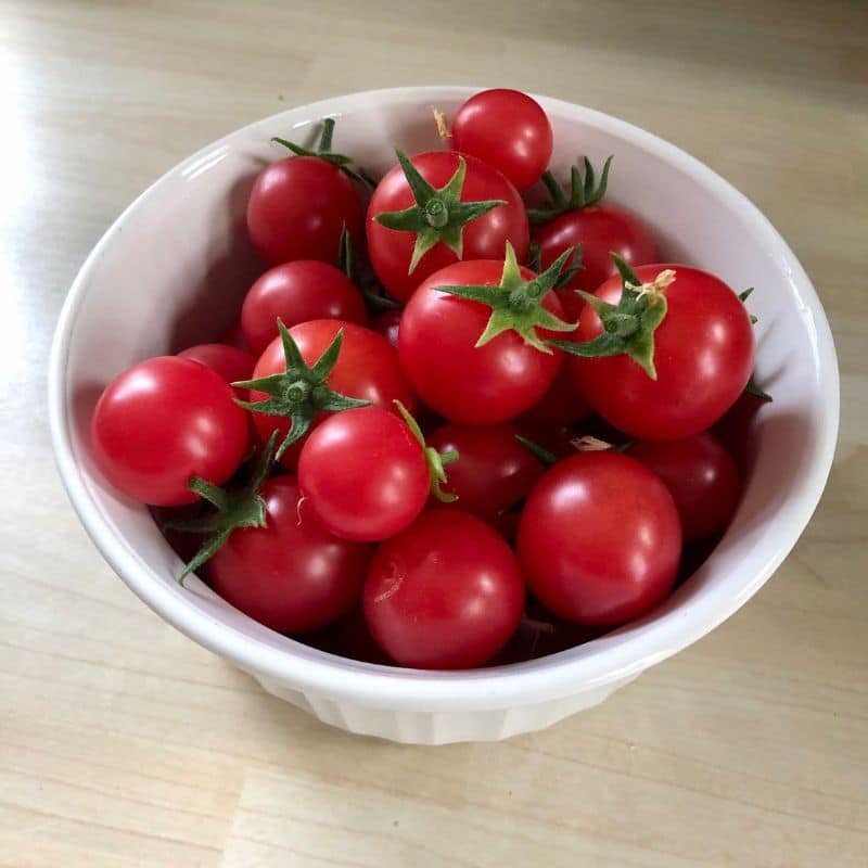 tomatoes in a bowl 800 x 800 tomatoes in a bowl