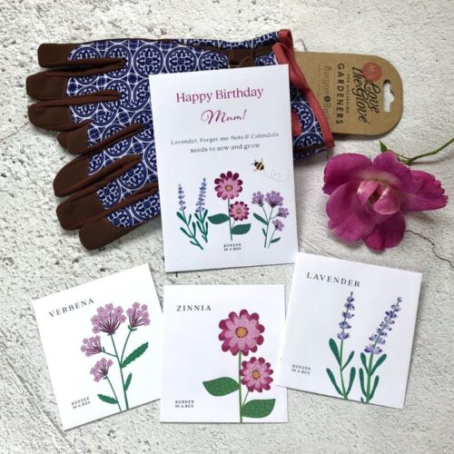 blue gardening gloves with flower seed packets