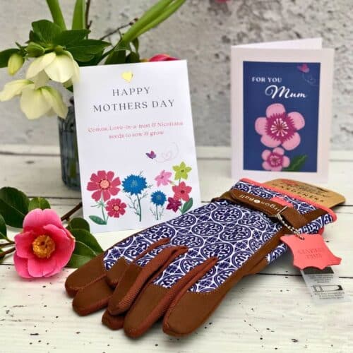 mothers day seed packet with blue pattern garden gloves and card