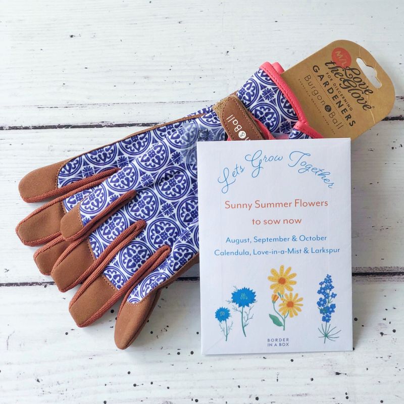 blue patterned ladies gardening gloves and seasonal flower seed packet