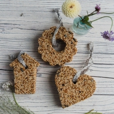 bird seed cake shapes