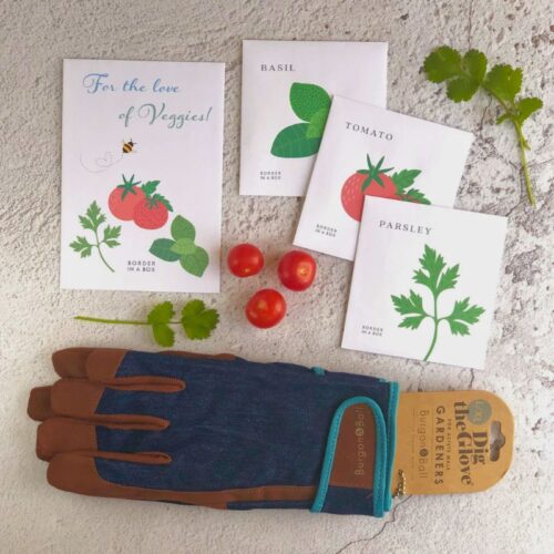 mens denim gardening gloves with veggie seed packets tomatoes basil parsley illustrations