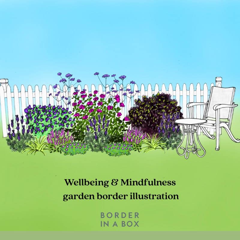 wellbeing and mindfulness garden border illustration by Border in a Box