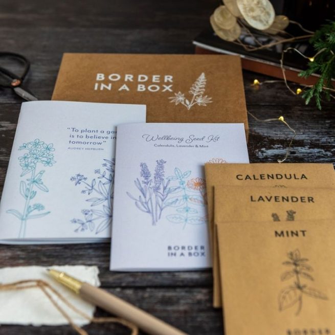 wellbeing seed kit mint calendular lavender seeds notebook