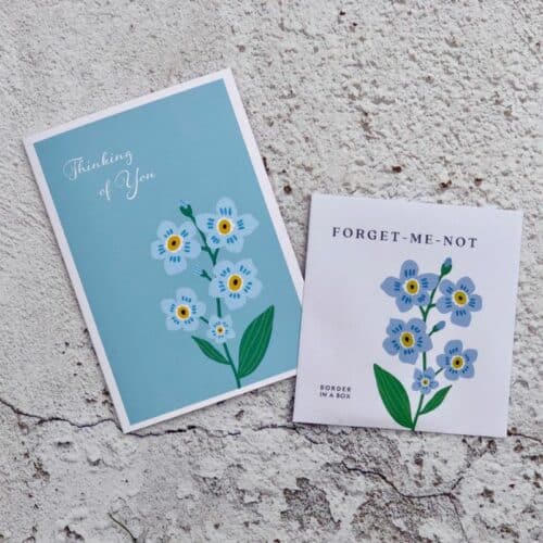 thinking of you card with forget me not flower illustrations and seed packet