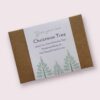 grow your own christmas tree gift box