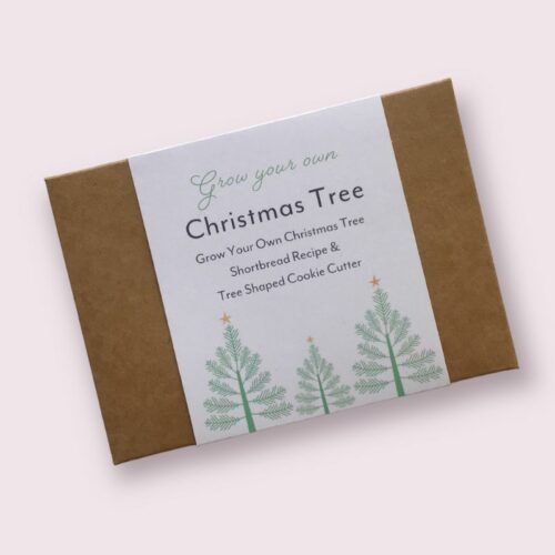 grow your own christmas tree gift box