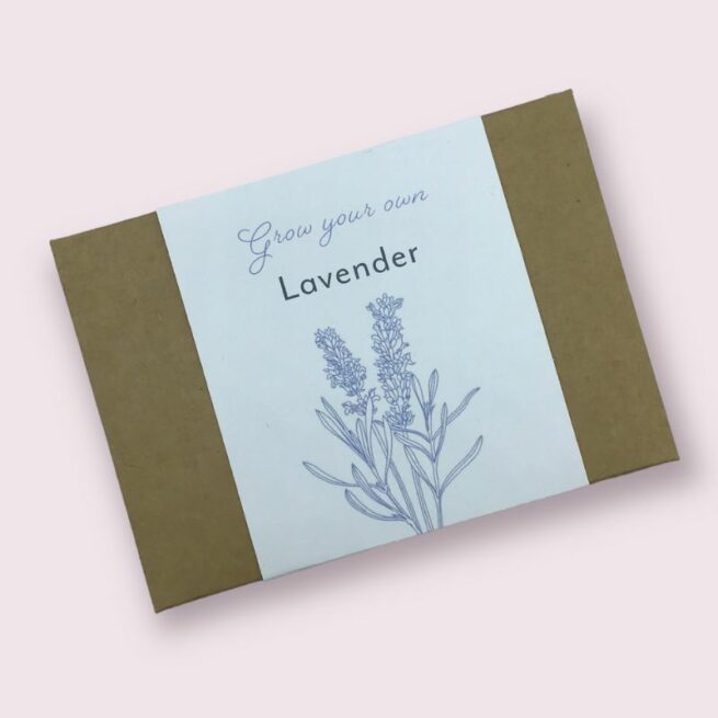 grow your own lavender gift box