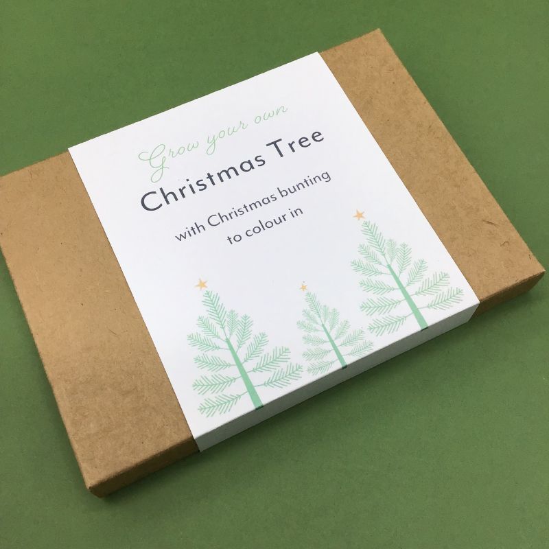 gyo christmas tree gift box