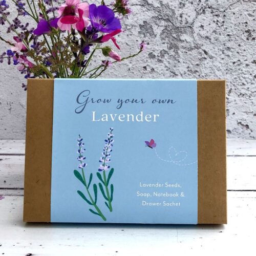 lavender gift box front cover