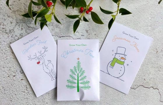 grow your own christmas tree white envelopes with illustrations