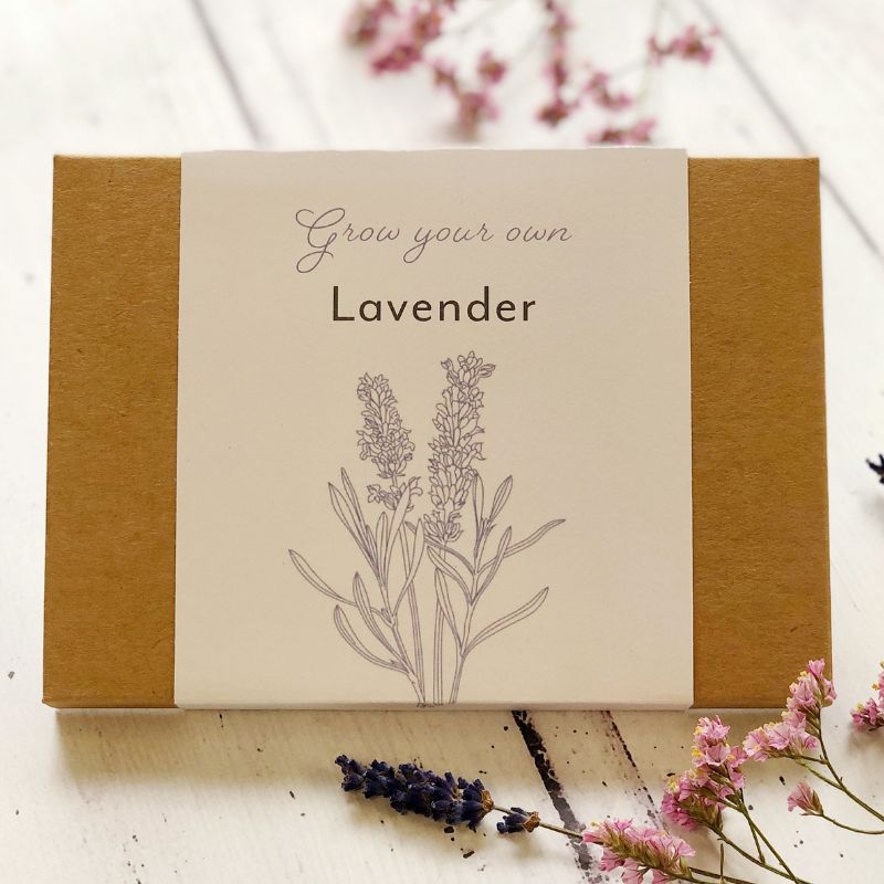 lavender seed kit