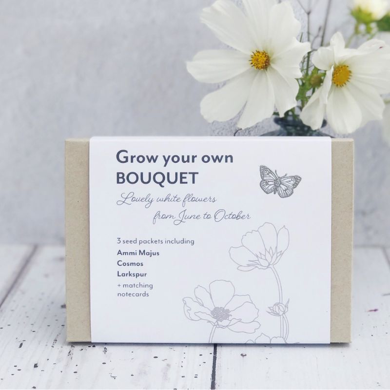 gift box grow your own bouquet cosmos larkspur ammi majus with matching gift cards