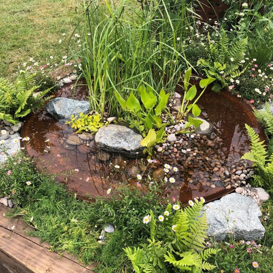 small water bowl for nature