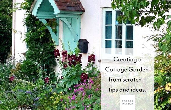 cottage garden blog feature photo