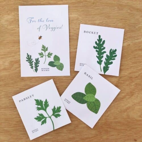 seasonal seed pack veggies with rocket parsley and basil seed packets