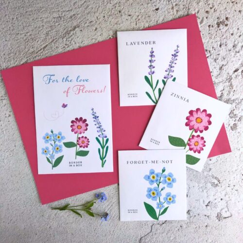 seasonal seed pack flowers with three packets of seeds