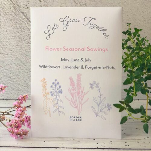 flower seed packet botanical illustrations