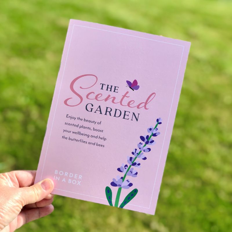 scented garden booklet pink cover with lavender illustration