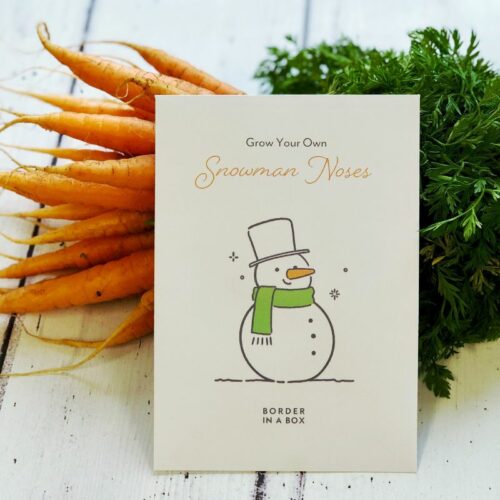 snowman noses carrots seed envelope