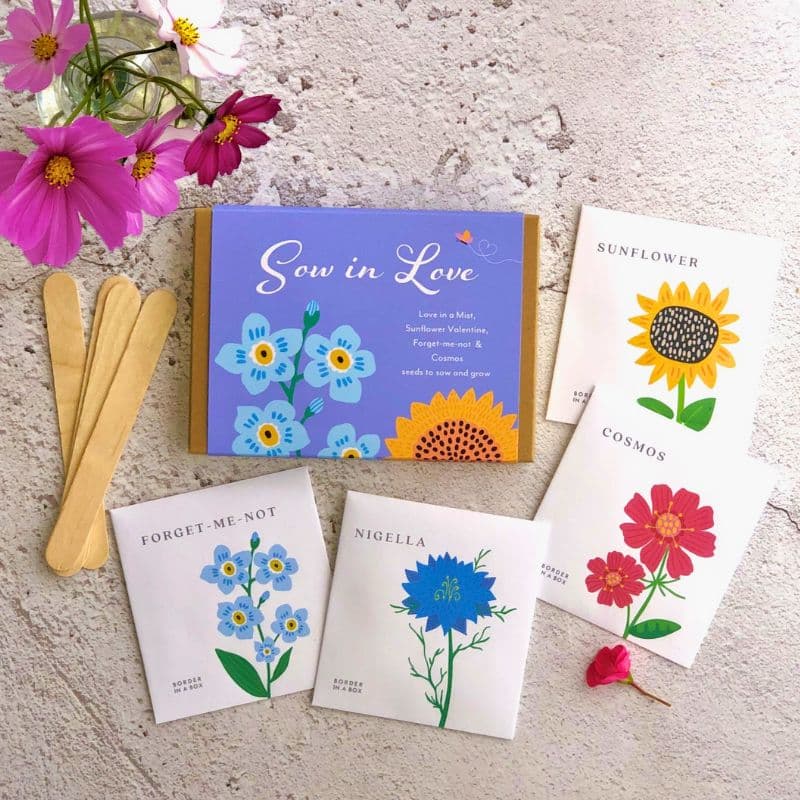 sow in love gift box and seed packets flower illustrations