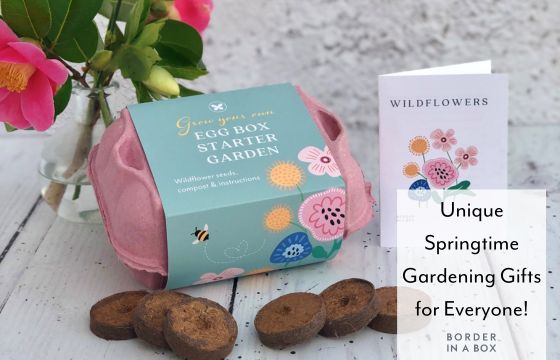 pink eggbox starter garden with wildflower seeds and compost