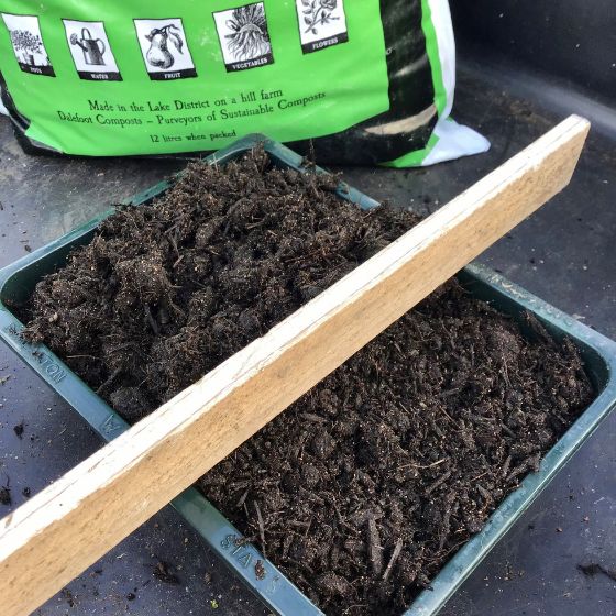 compost seed tray wooden baton