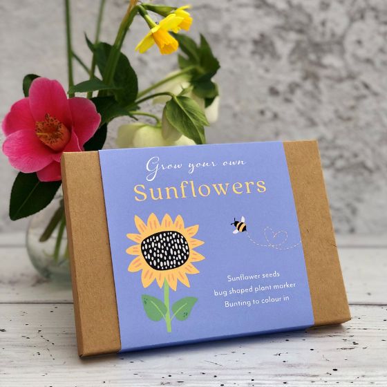 grow your own sunflowers gift box for kids