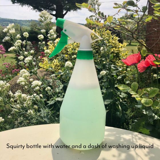 squirty bottle with water and washing up liquid