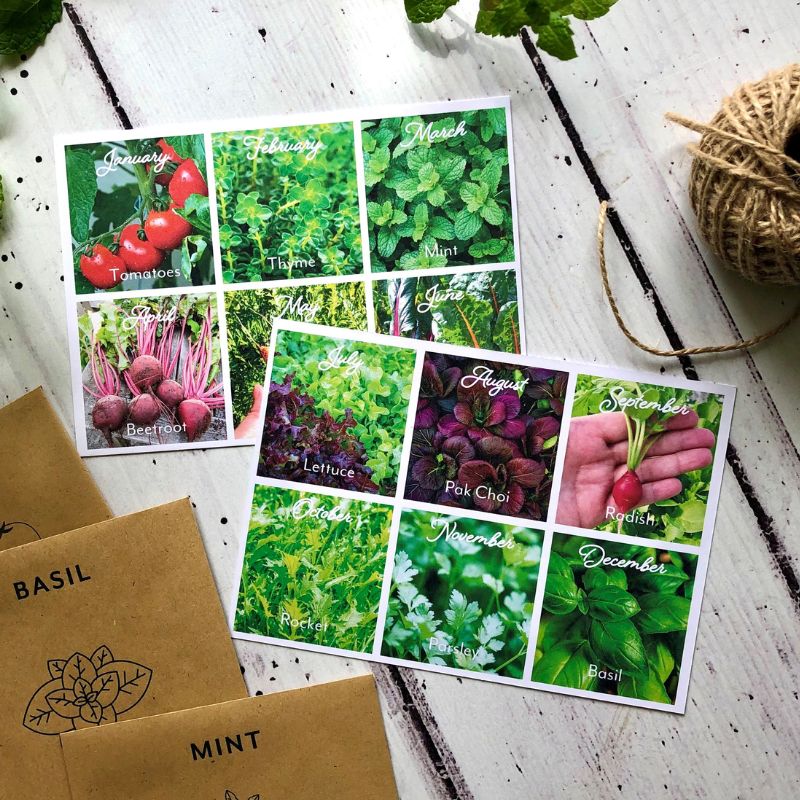 card showing what seeds to sow each month