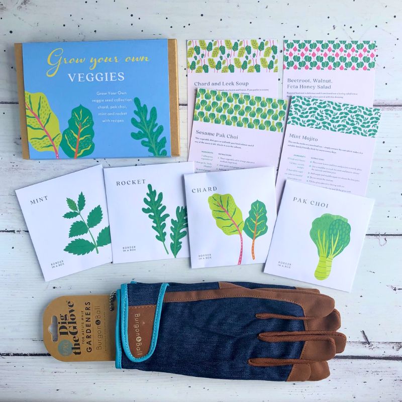 veg seed gift box, recipe cards and denim gardening gloves