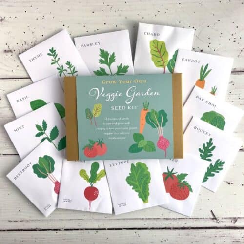 veggie garden seed kit seed packets