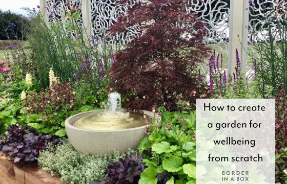 blog header water feature with sensory planting