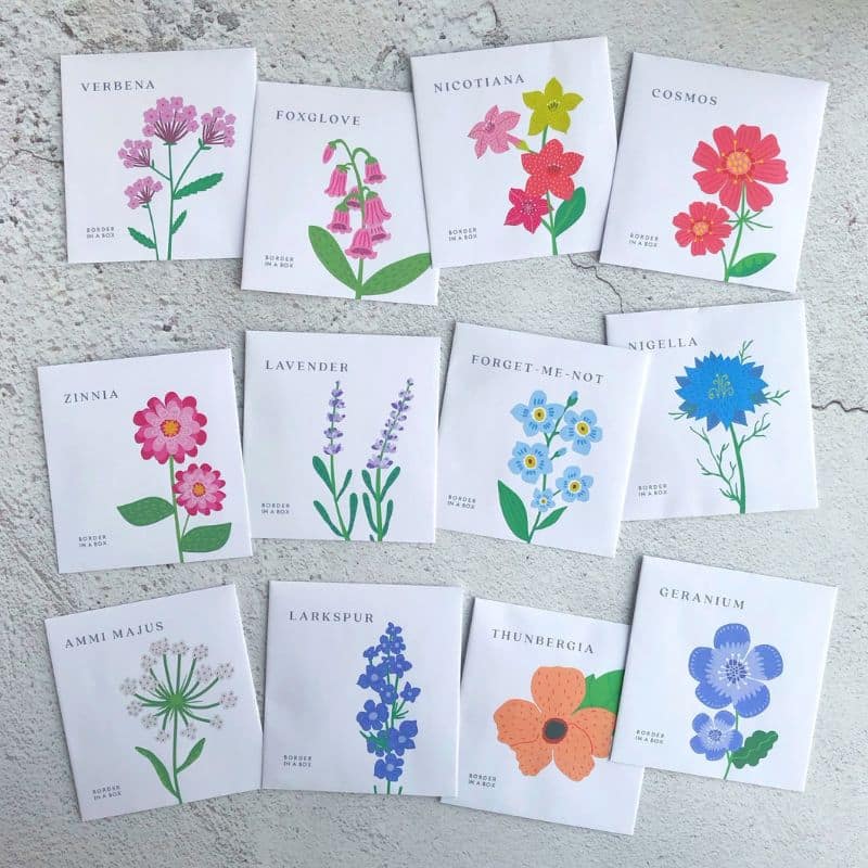 flower seed packets 2025