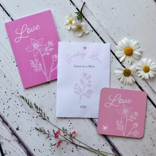 pink card love in a mist botanical illustration seeds coaster