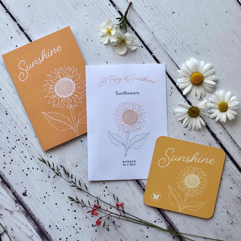 sunshine card seeds and coaster botanical illustration sunflower