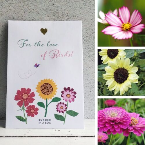 grow your own bird food seed pack with cosmos sunflowers and zinnia