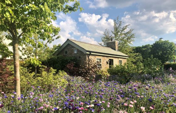 wild flower garden stone bothy