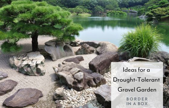 japanese gravel garden with boulders