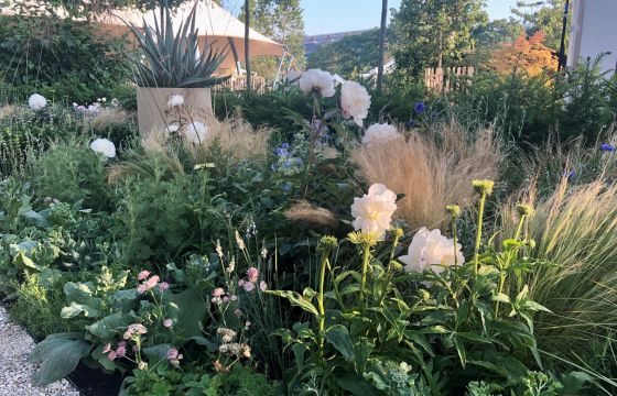 lucy bravington show garden 