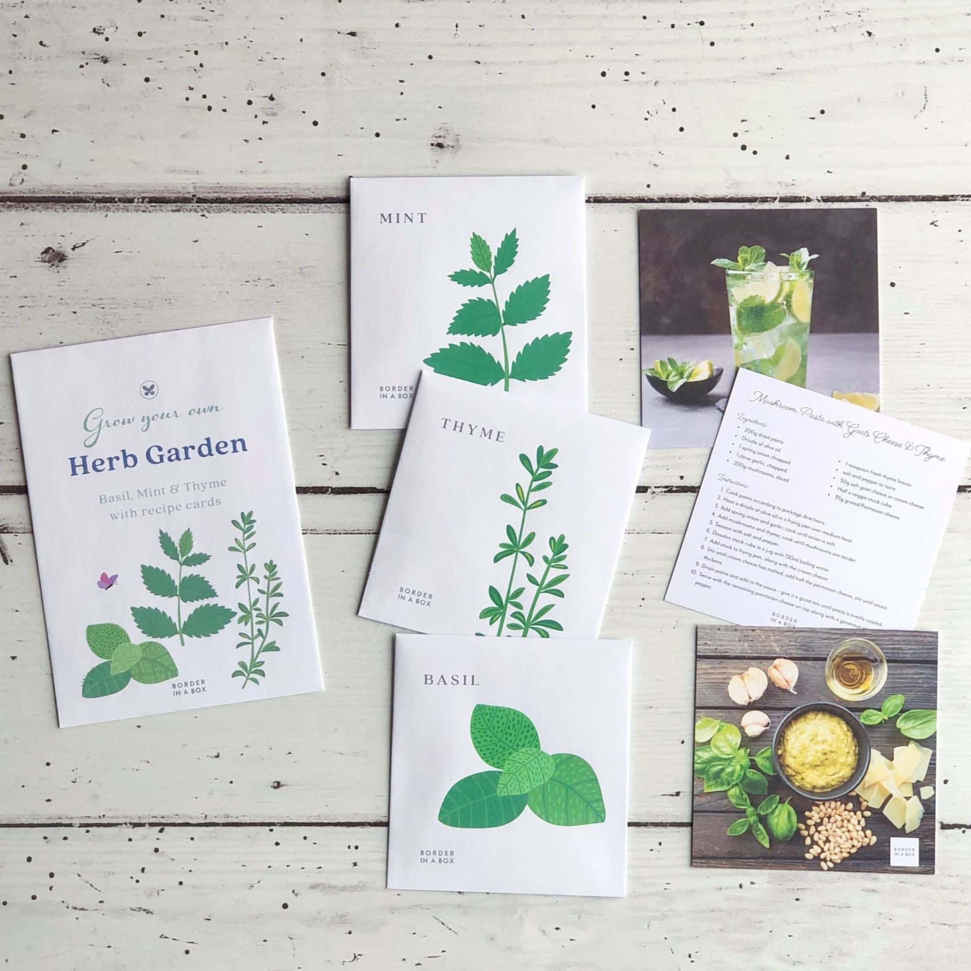 herb seed pack and recipes basil mint thyme