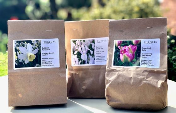 brown bags of spring bulbs