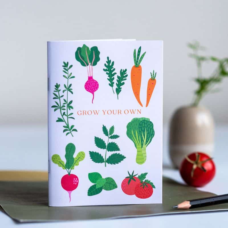 notebook white background vegetable illustrations