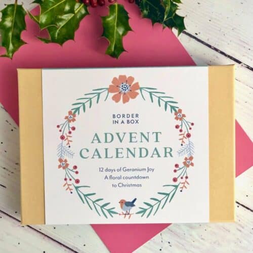 GERANIUM ADVENT CALENDAR FRONT OF BOX