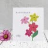 nicotiana seed packet 800 x 800 nicotiana seed packet