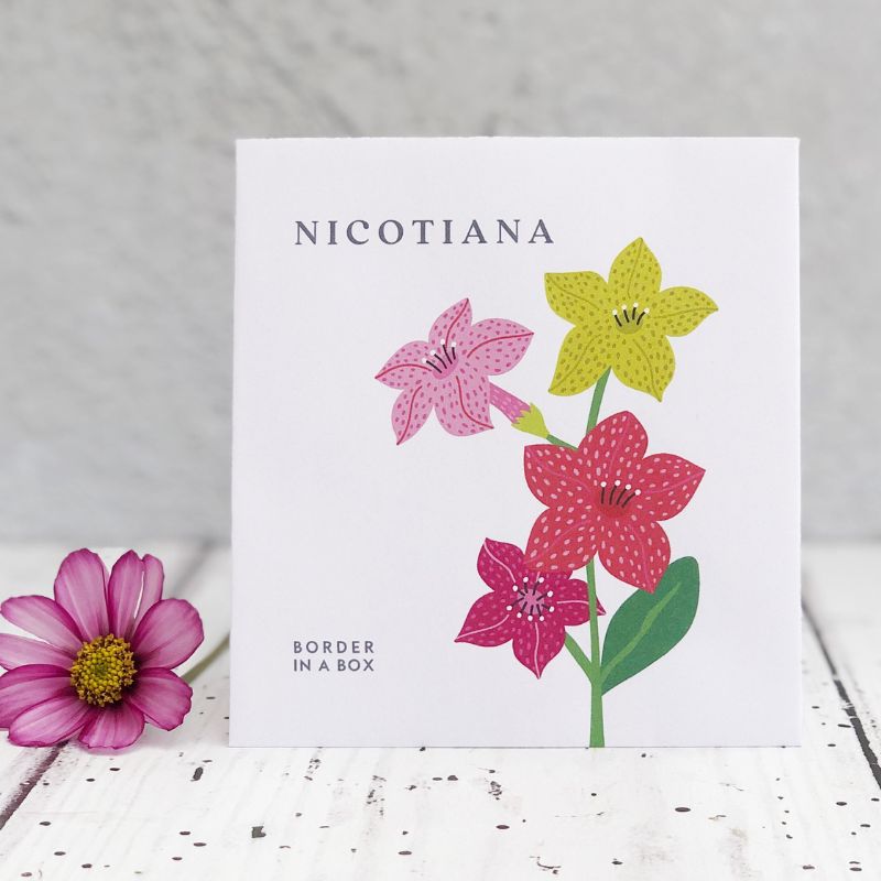 nicotiana seed packet